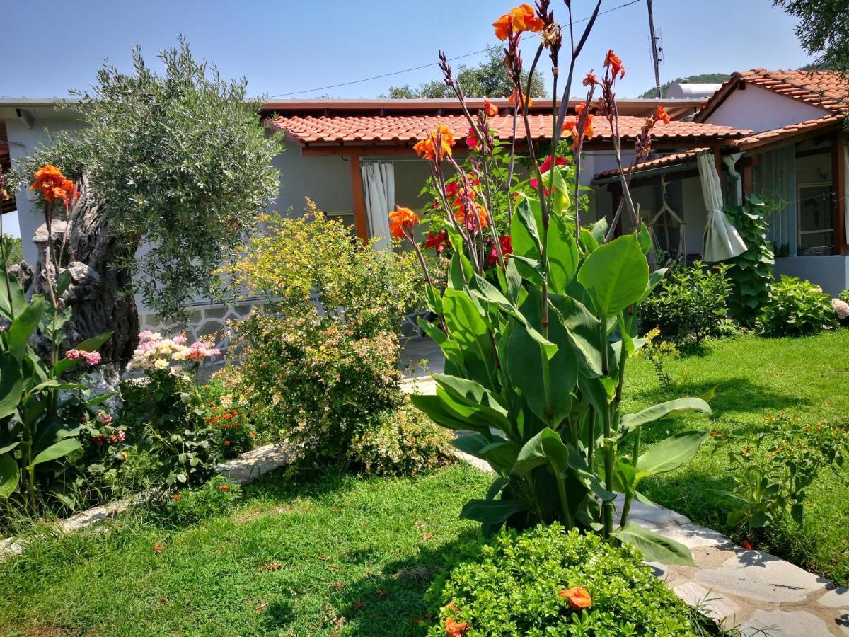 Cristi Apartments Skala Rachoni  Esterno foto