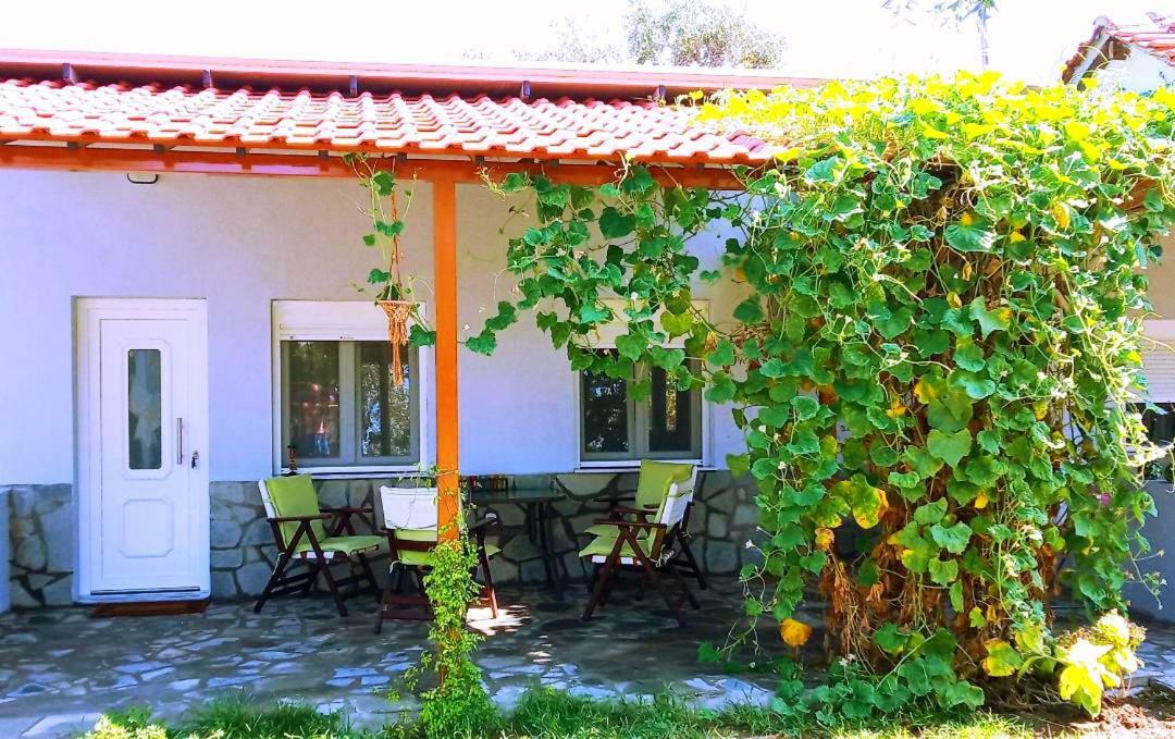 Cristi Apartments Skala Rachoni  Esterno foto